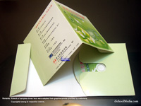 Single Disc Jacket (long)